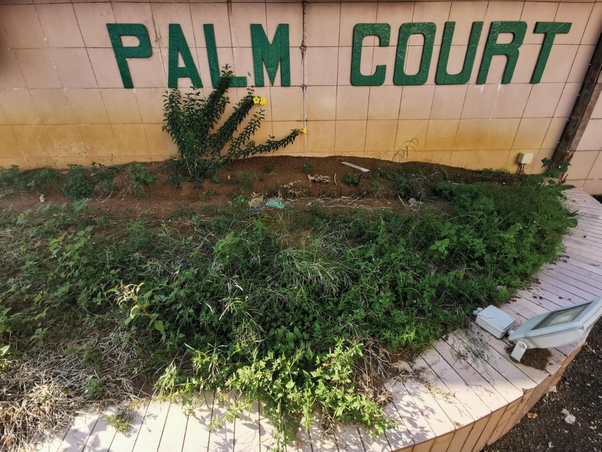Diy Palm Court Bedroom Kuantan Exteriör bild